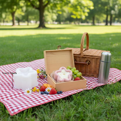 Bento cakes étoile lunch box pique-nique parc nappe herbe